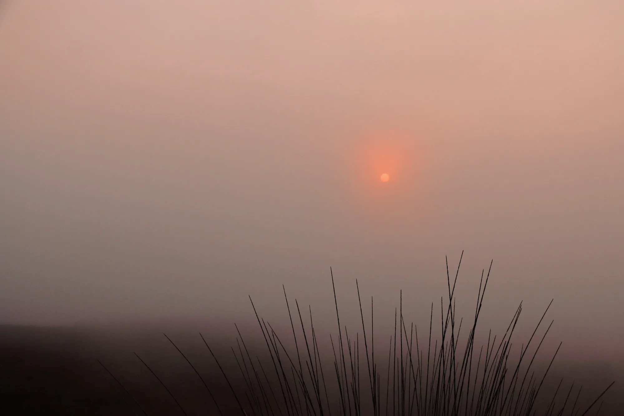 Landscape and wildlife photography by Charlie Prigan
